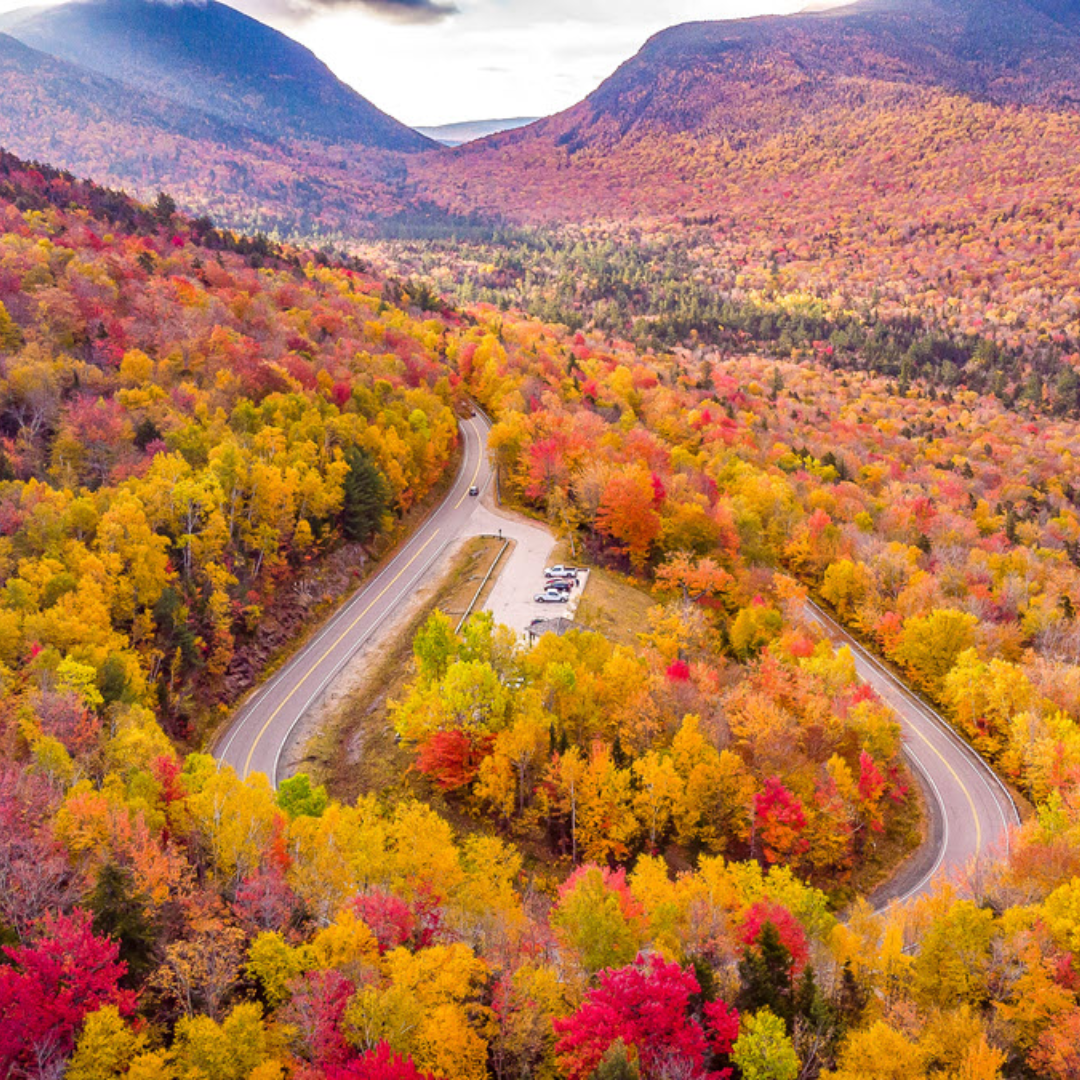 Aerial image of fall color mountainside