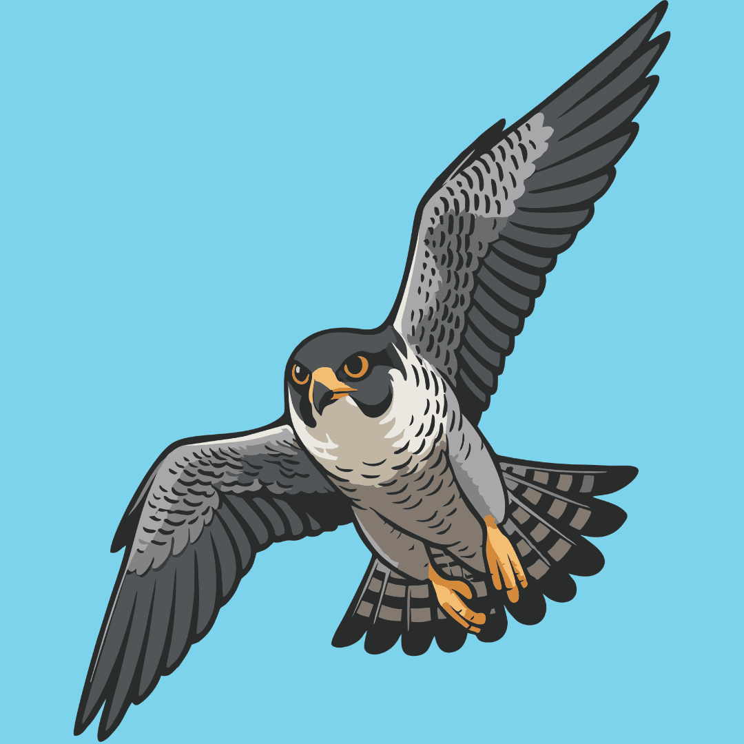monadnock falconry