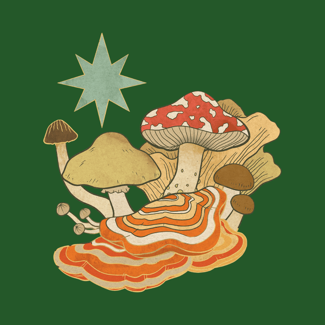 fbinsta weekly posts (25)