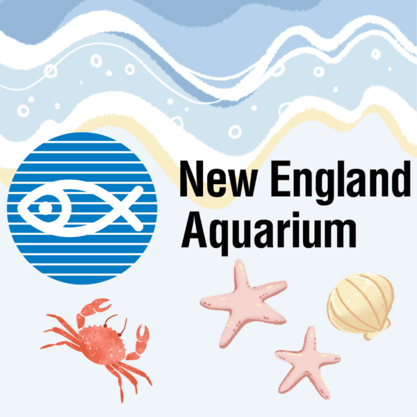 fbinsta weekly posts (33)