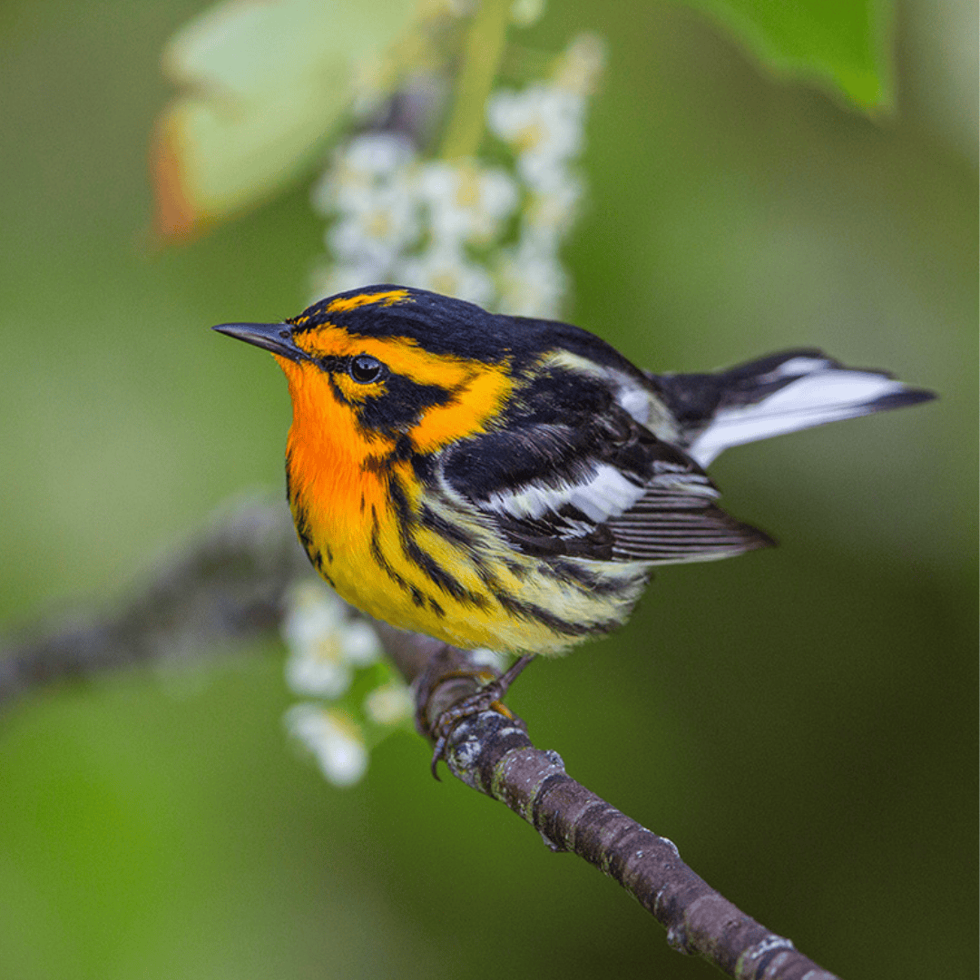 fbinsta weekly posts (49)