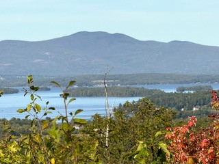 leaf peeping