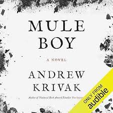 mule boy