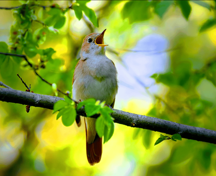 screenshot 2026 04 20 100434