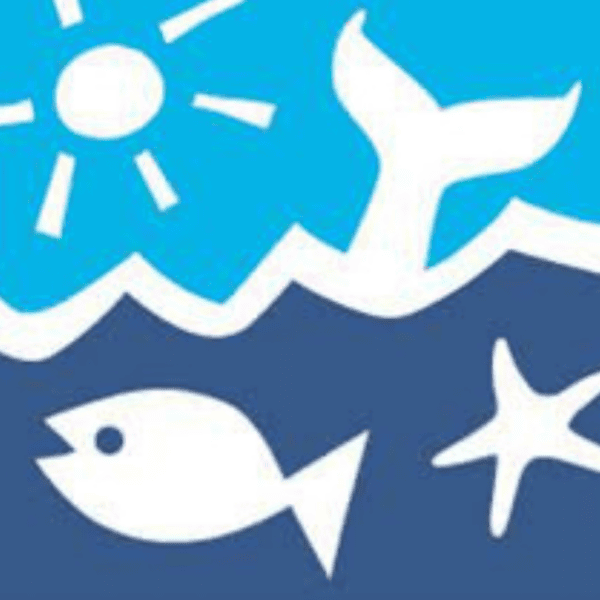 Graphic illustration of a sun, fish, starfish, and whale tail beneath stylized waves, using blue and white colors.