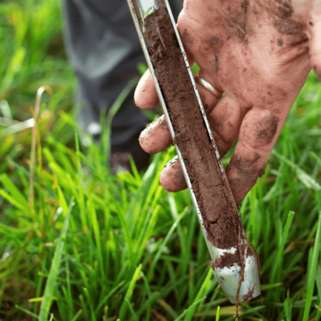 soil testing