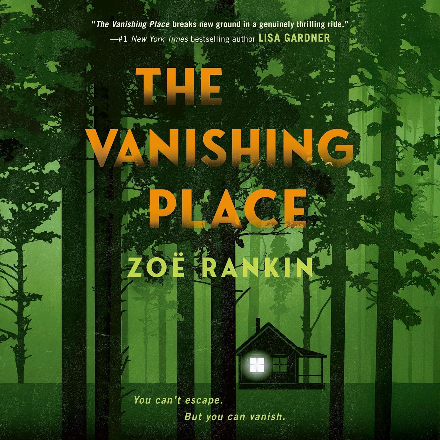 the vanishing place by zoe rankin