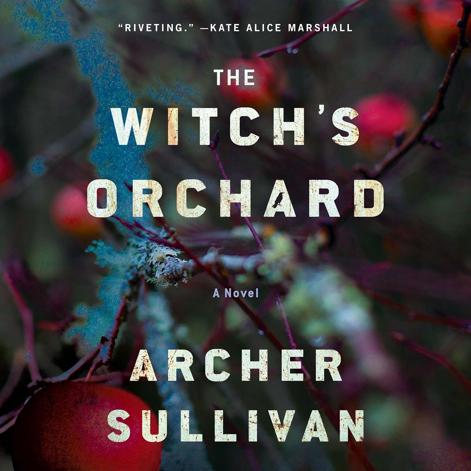 the witch's orchard by archer sullivan