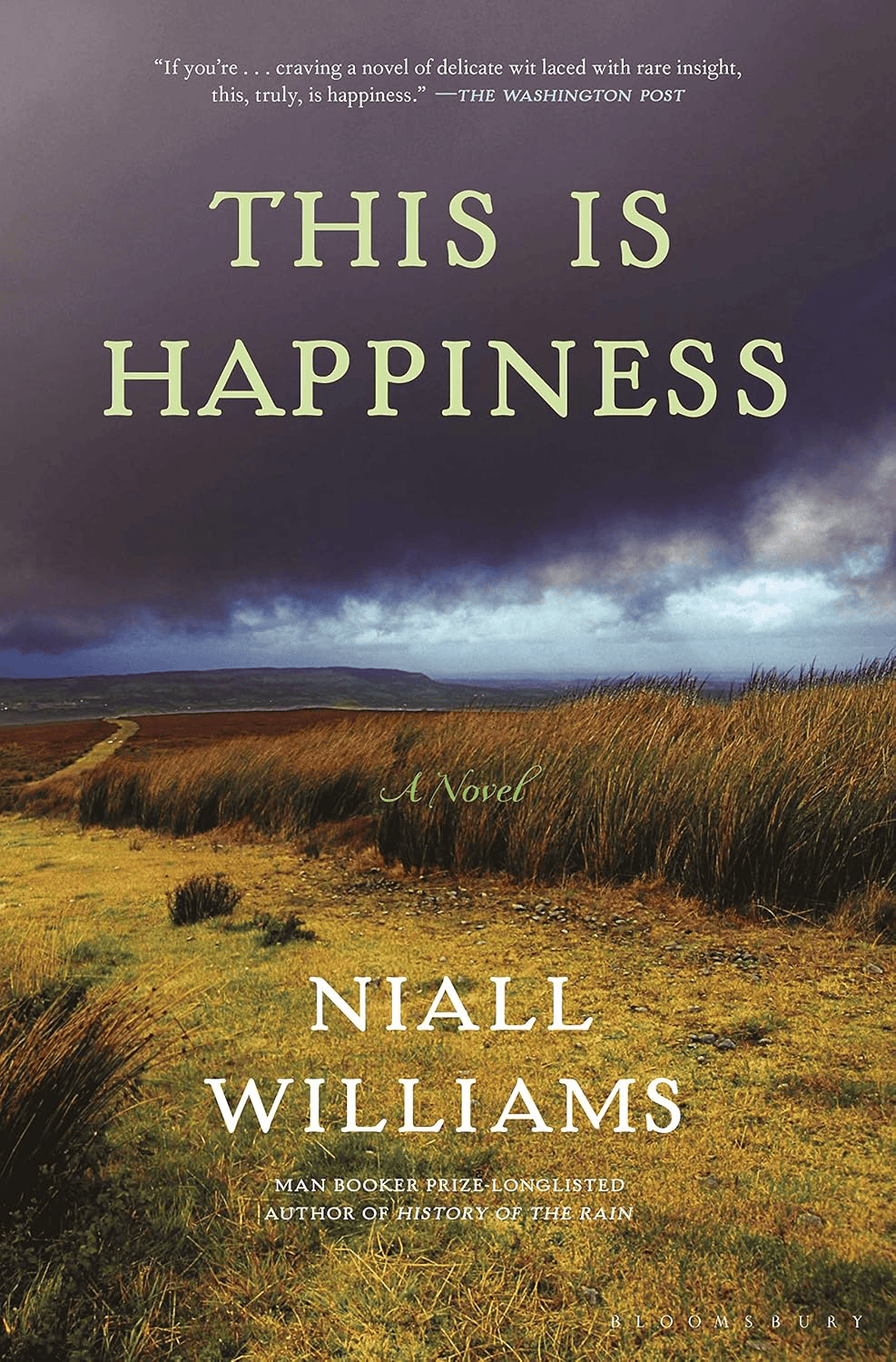 the cover of the novel this is happiness by niall williams features a grassy rural landscape under a cloudy sky with the title and author’s name in large text.